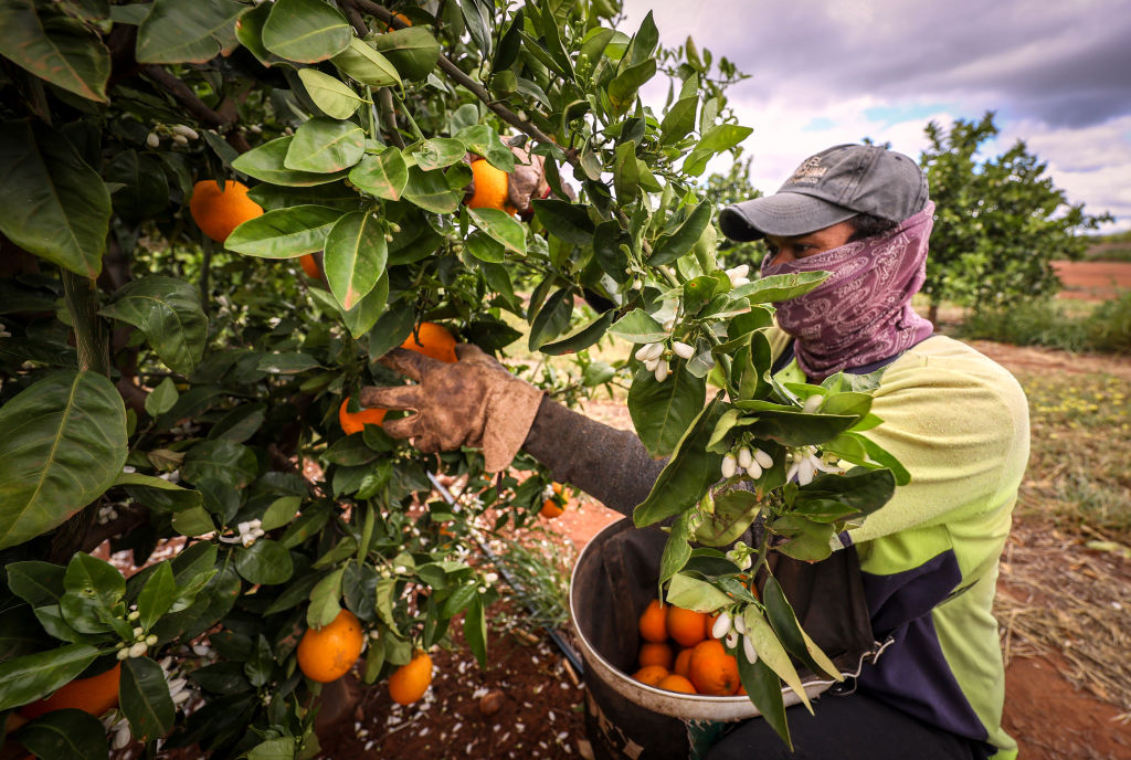 Castor Labour Workforce